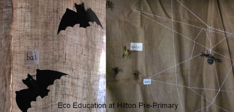 eco education