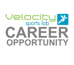 velocity vacancy 1 copy copy