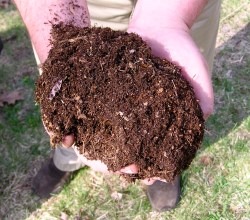 tanglewood nursery compost 250x220