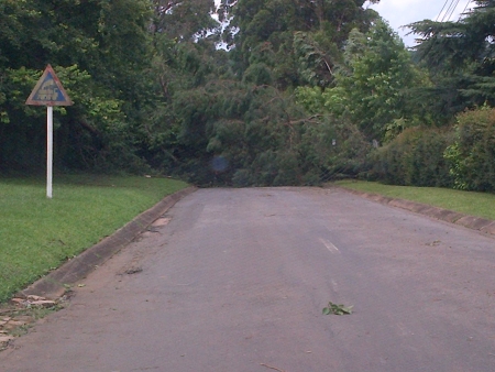 storm damage 6 january 2013