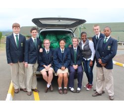 grace college community campaign
