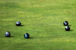hilton bowling club cover v3 copy