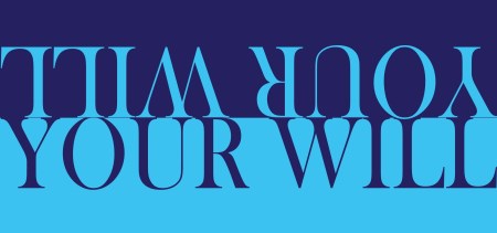 mc wilkinson your will copy