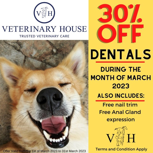 march hilton 2023 umgeni vet 650
