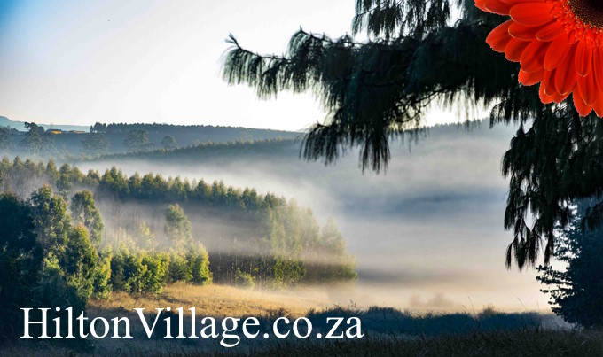 HiltonVillage.co.za