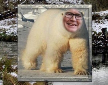 polar bear dave prentice