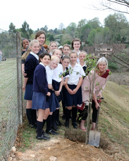laddsworth hilton kzn tree ceremony