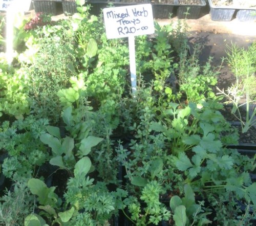 mixed herbs