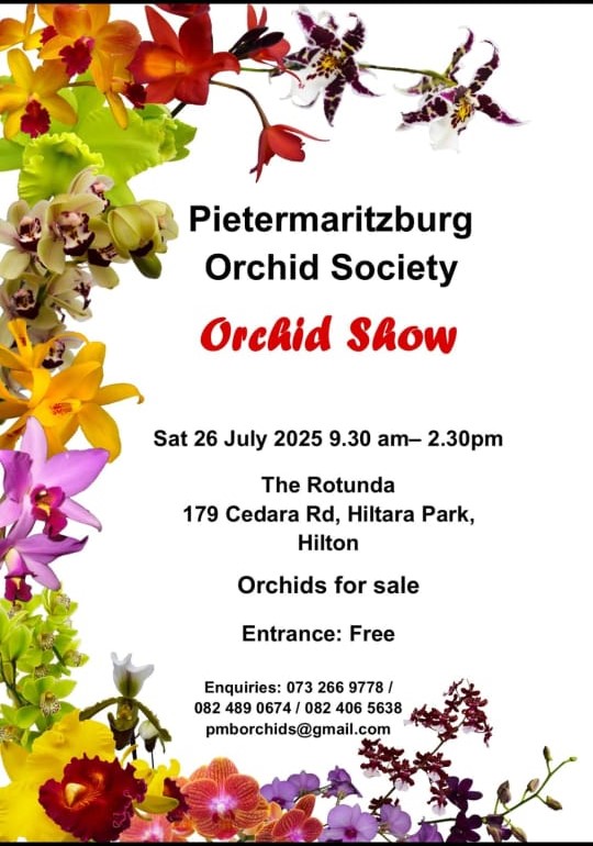 orchid show
