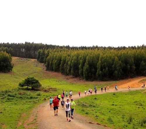 parkrun