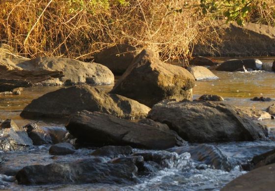 rivers mpofana