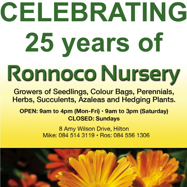 ronnoco 25D2