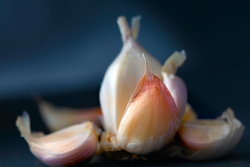 ronnoco garlic cover