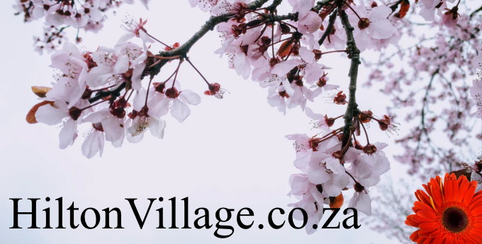 HiltonVillage.co.za