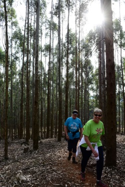 winterskloof trail