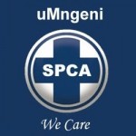 uMngeni SPCA Bring & Buy Shop
