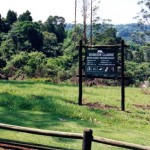 Doreen Clarke Nature Reserve